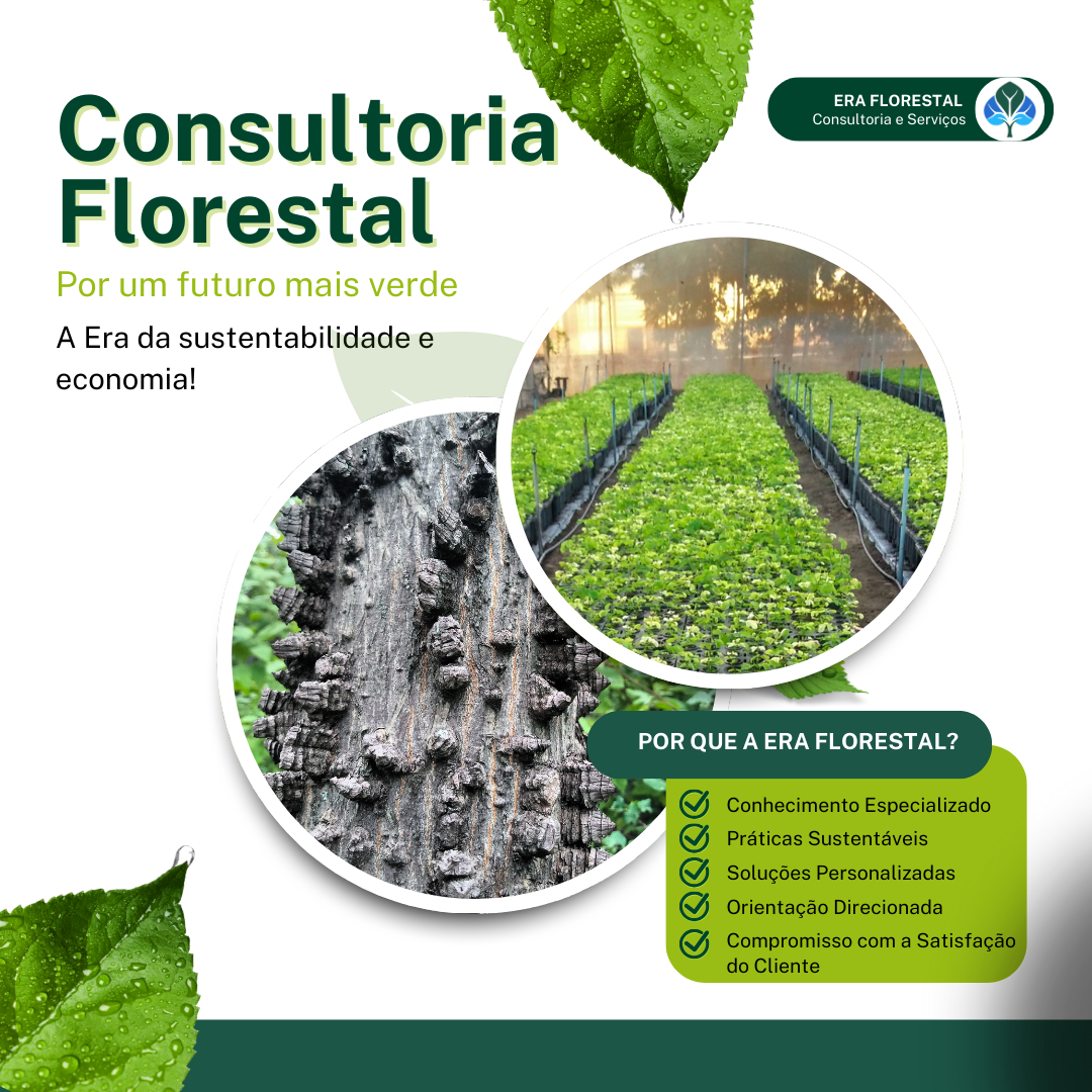 Consultoria Florestal