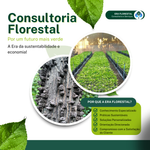 Consultoria Florestal