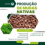 Produção de Mudas Nativas