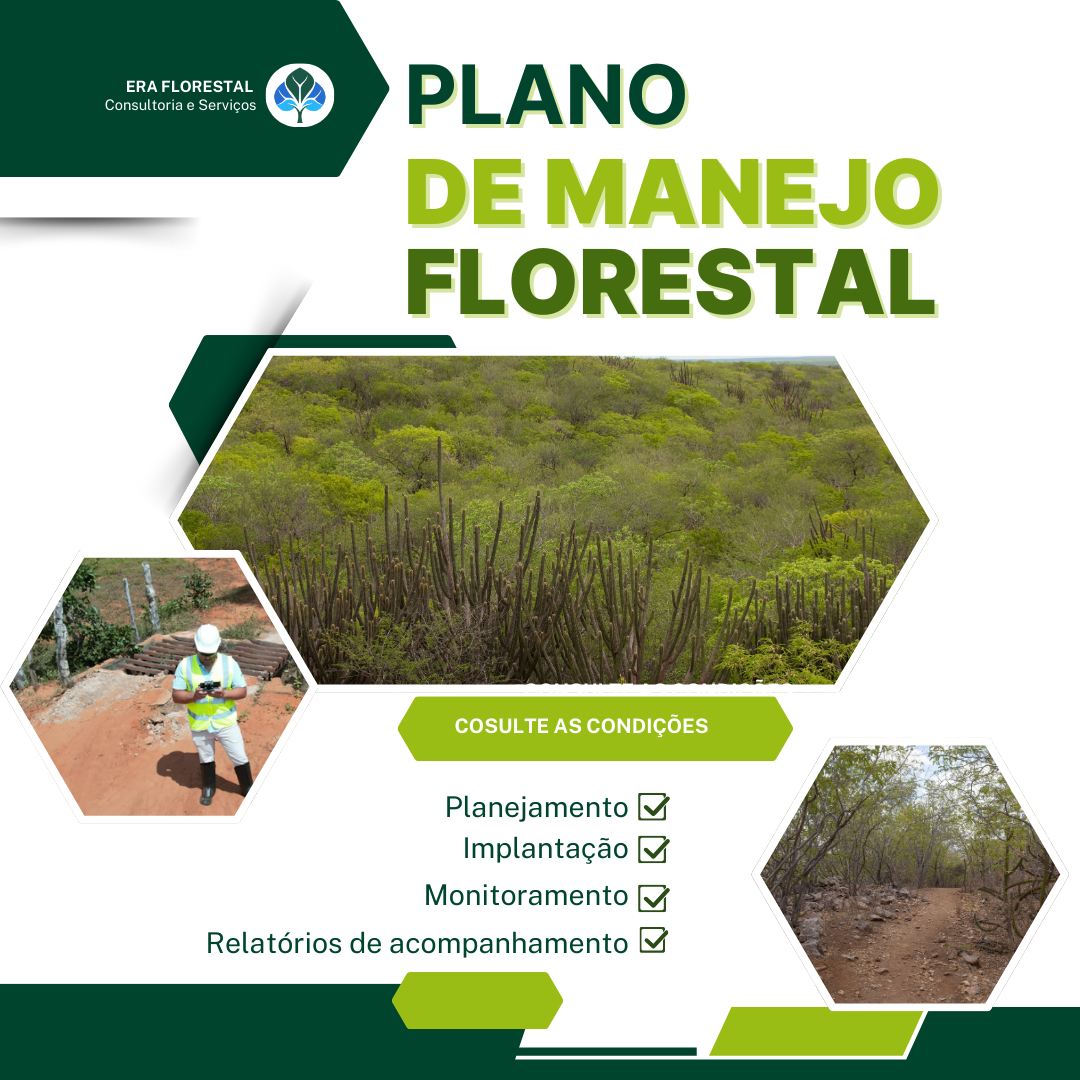 Plano de Manejo Florestal