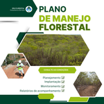 Plano de Manejo Florestal