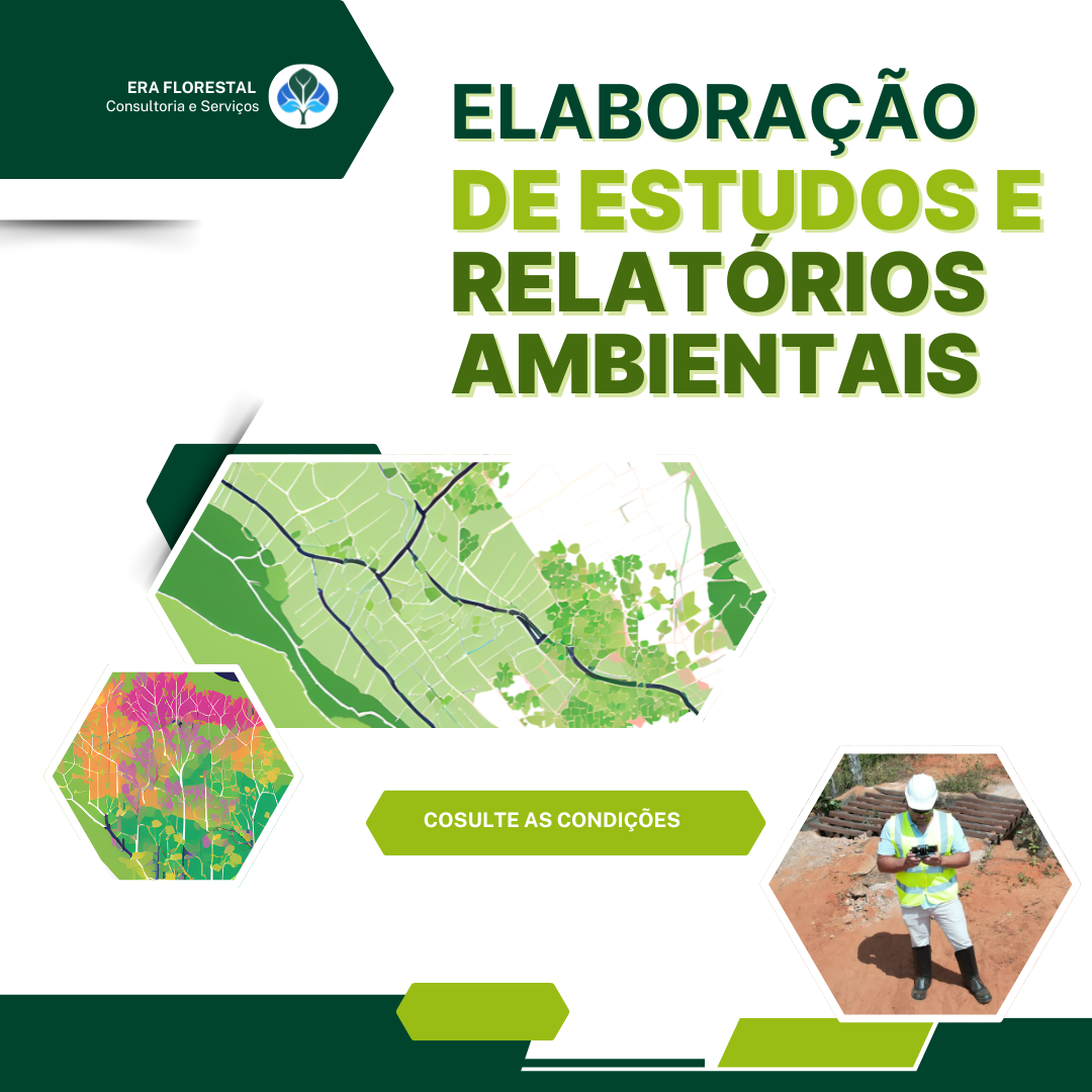 Elaboração de Estudos e Relatórios Ambientais