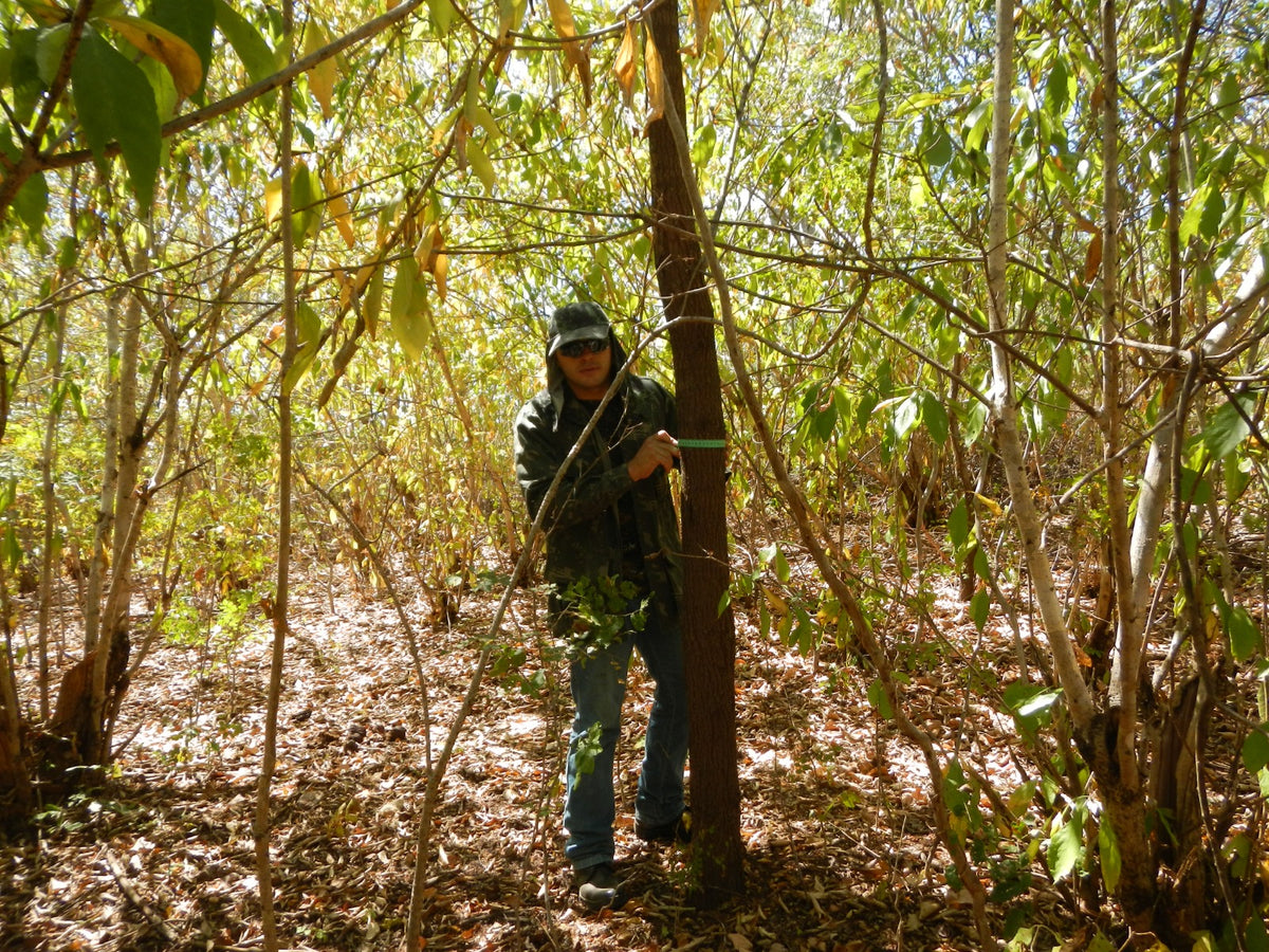 Elaboração de Estudos e Relatórios Ambientais